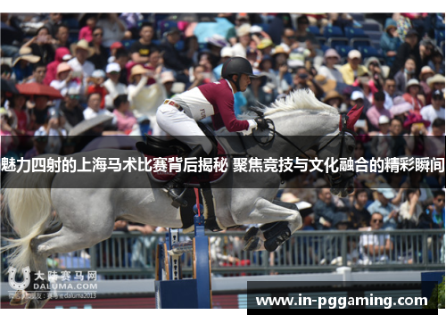 魅力四射的上海马术比赛背后揭秘 聚焦竞技与文化融合的精彩瞬间
