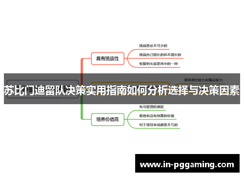 苏比门迪留队决策实用指南如何分析选择与决策因素