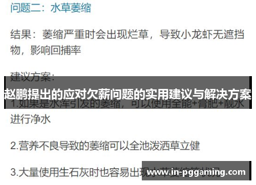 赵鹏提出的应对欠薪问题的实用建议与解决方案