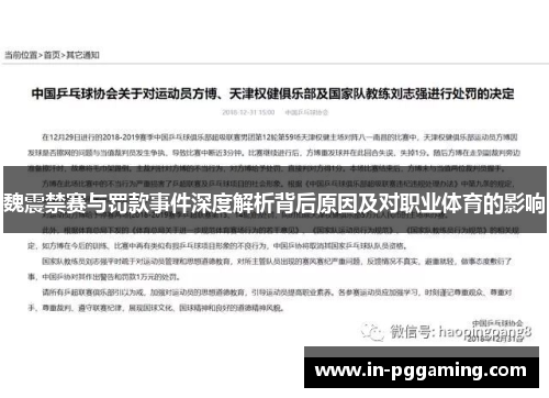 魏震禁赛与罚款事件深度解析背后原因及对职业体育的影响