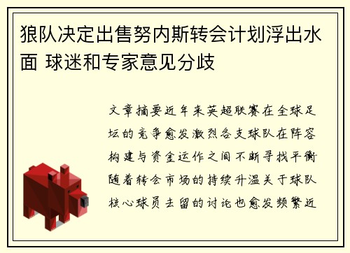 狼队决定出售努内斯转会计划浮出水面 球迷和专家意见分歧