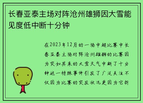 长春亚泰主场对阵沧州雄狮因大雪能见度低中断十分钟