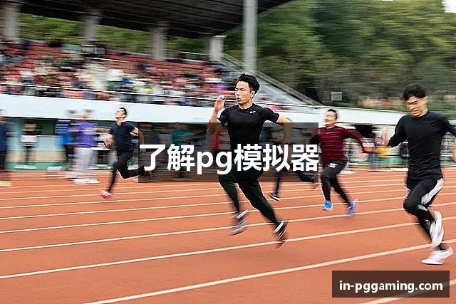 了解pg模拟器